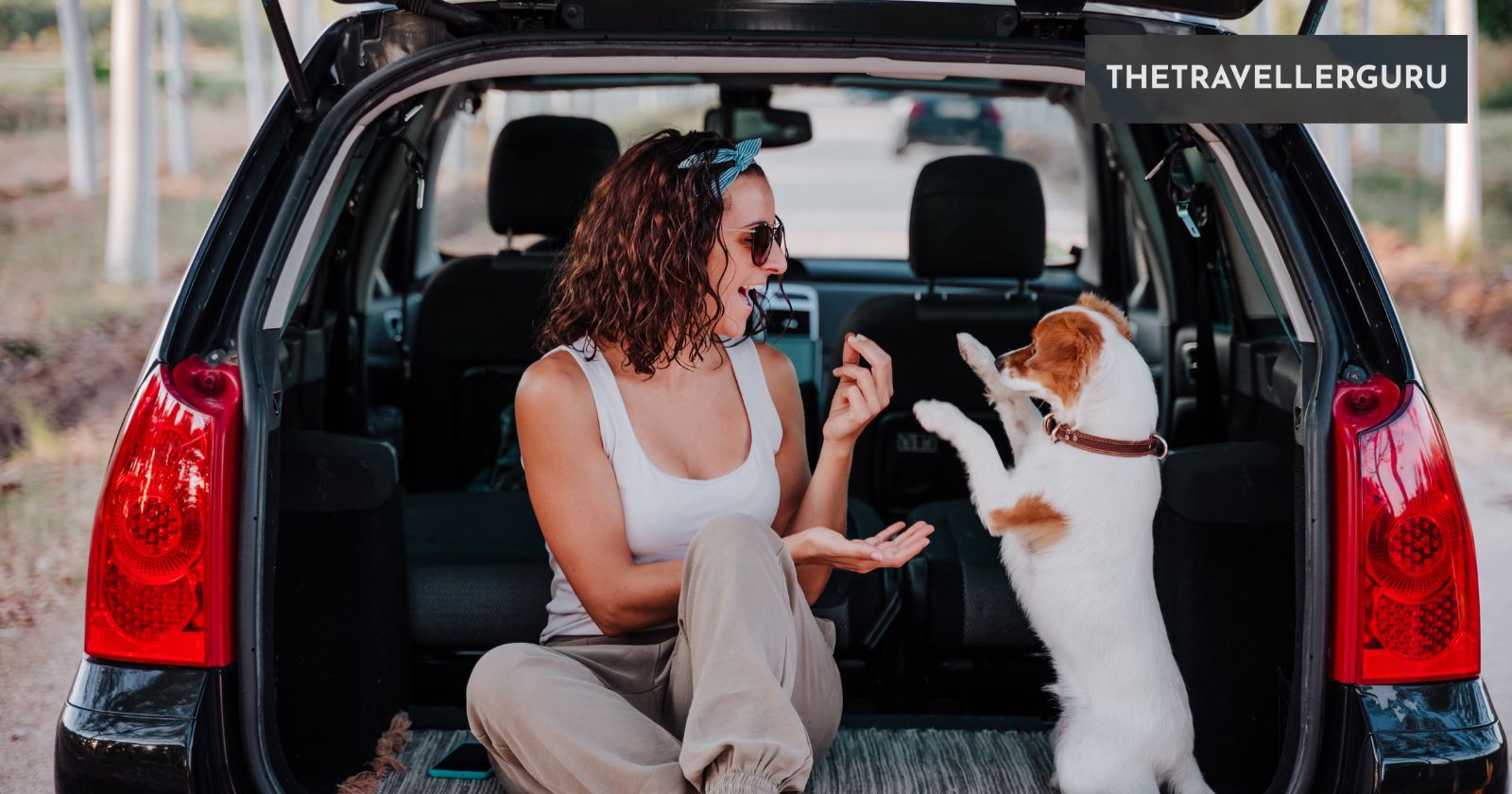 8 Tips for Traveling With Pets In a Car