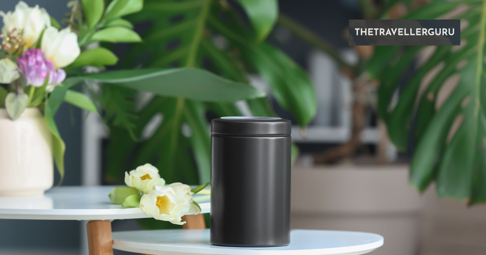 Can You Carry Human Ashes on a Plane?