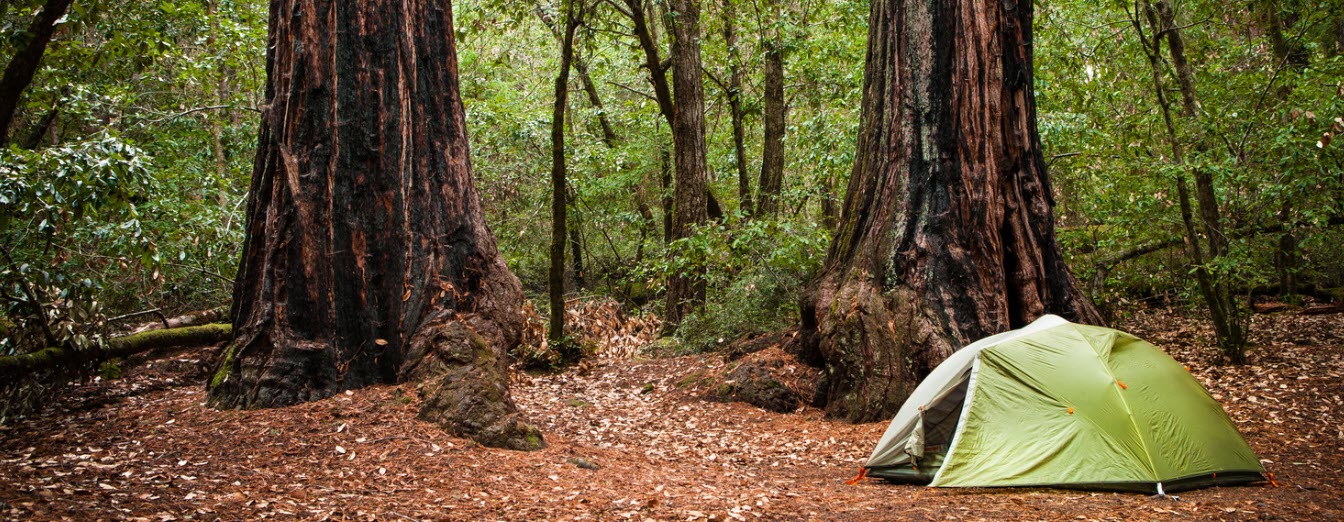 Best camping spots in northern california