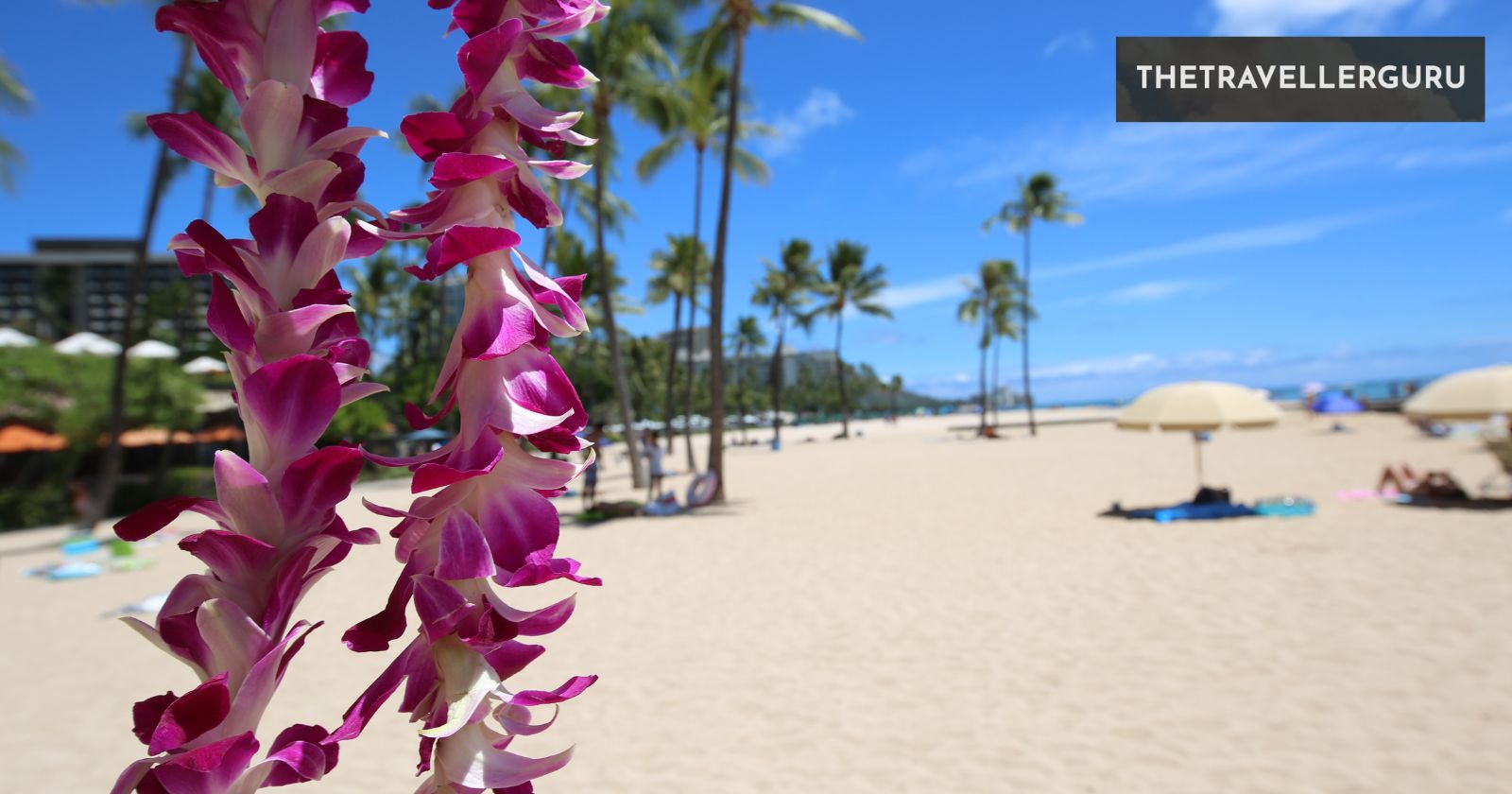 8 Best Beaches in Hawaii for Swimming