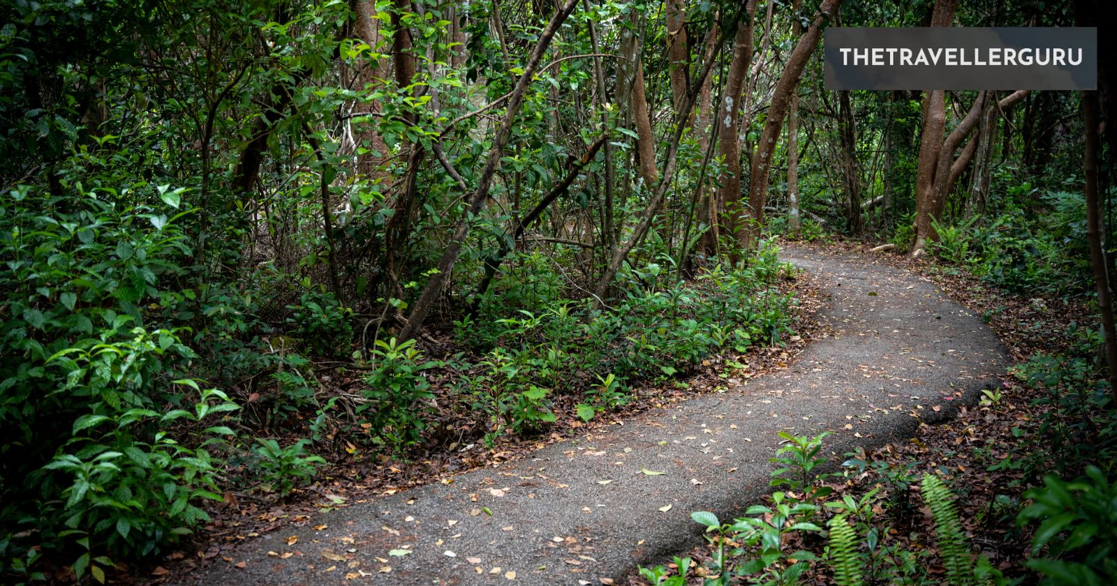 10 Best Hiking Trails in Florida