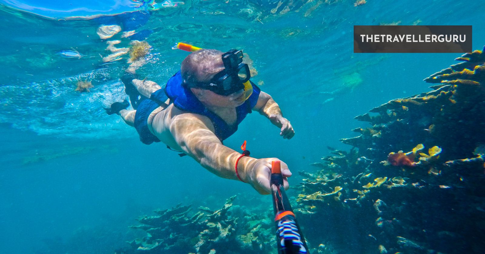 8 Best Places to Snorkel in the Florida Keys