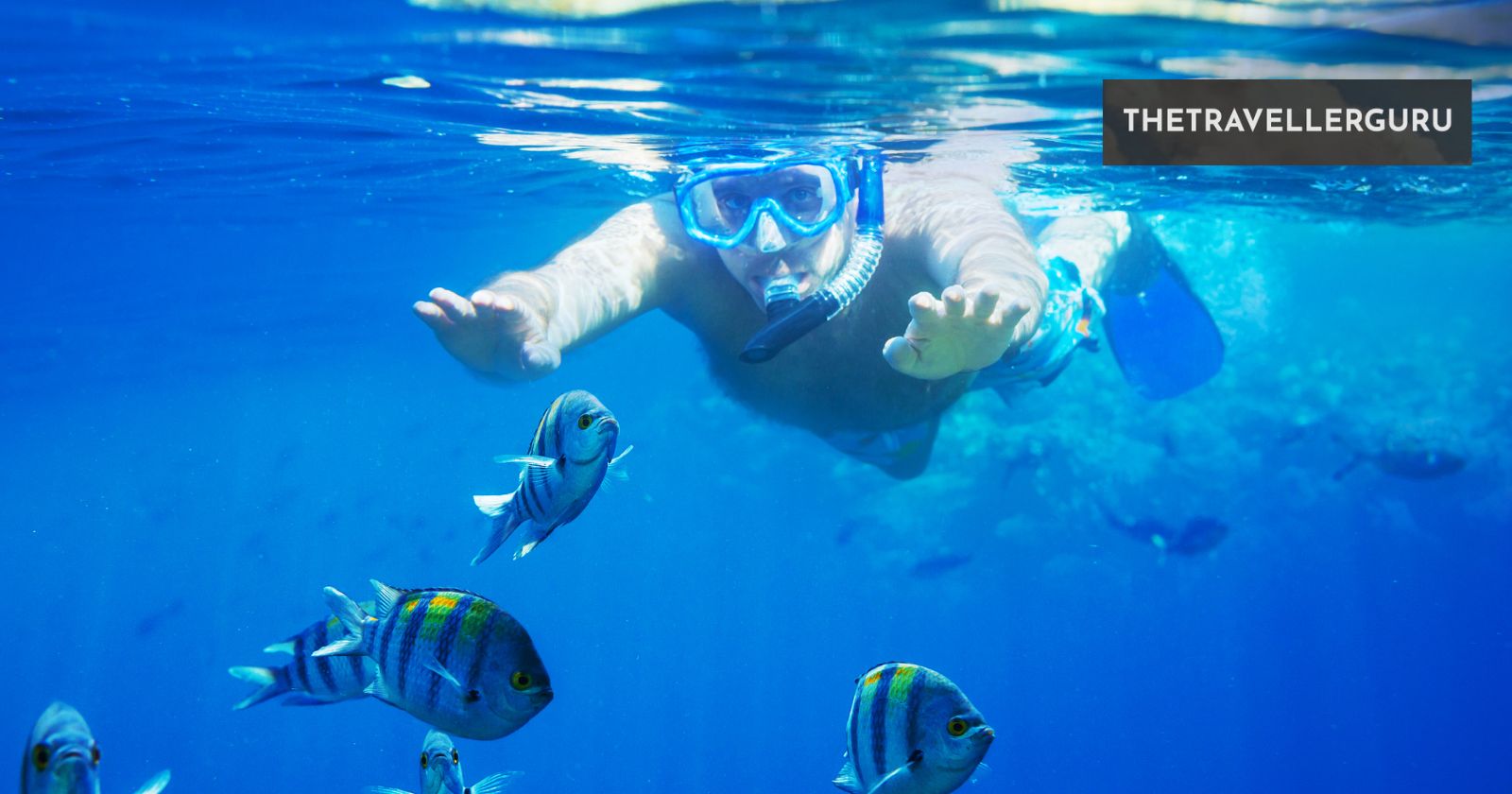 12 Best Places to Snorkel in Florida