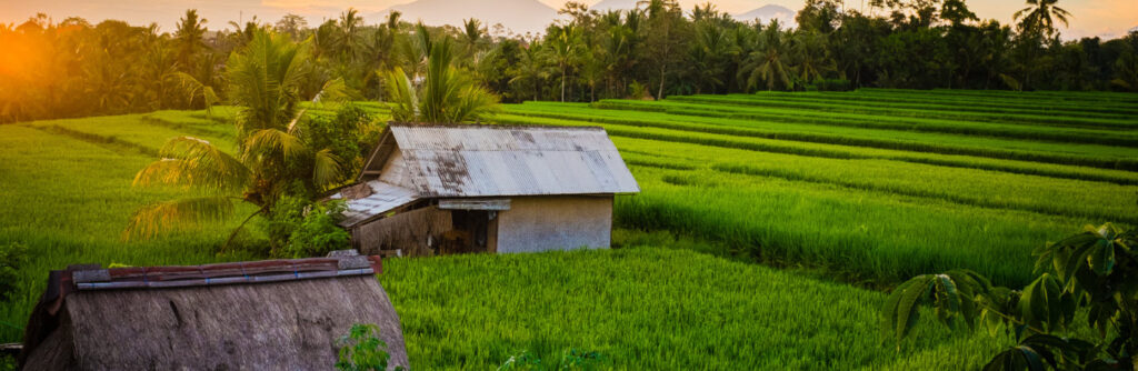 bali travel guide - Ubud