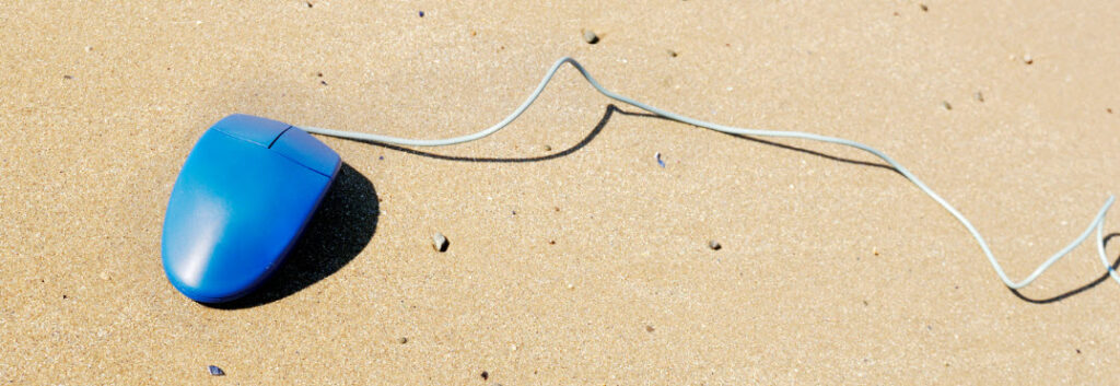 Make An Income While Traveling - mouse on beach