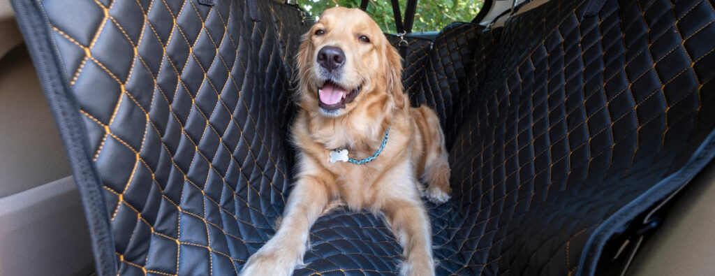 Best Pet-Proof Car Seat Covers - dog in seat cover