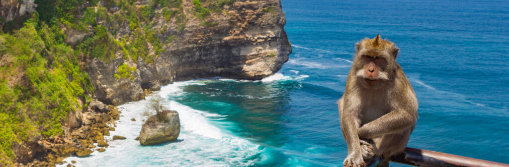 Best Beaches in Bali - Uluwatu Beach