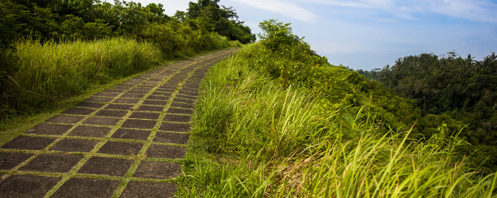 Best hiking trails in bali - walking path