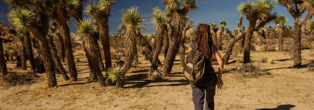 Best Hiking Trails in California - Joshua Tree National Park