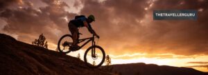 Best Mountain Bike Travel Cases - Header
