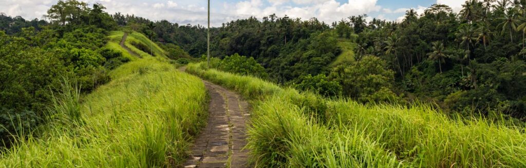 Best Things to Do in Ubud - Campuhan Ridge Walk