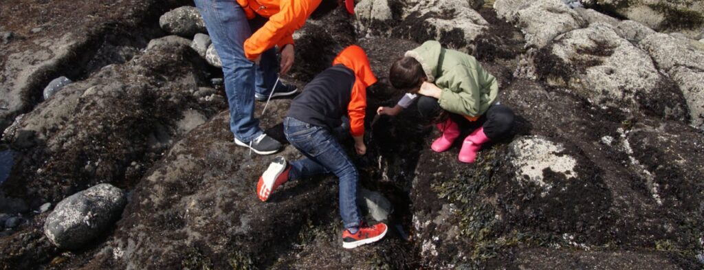 Best Tide Pools In San Diego - family on tide pools