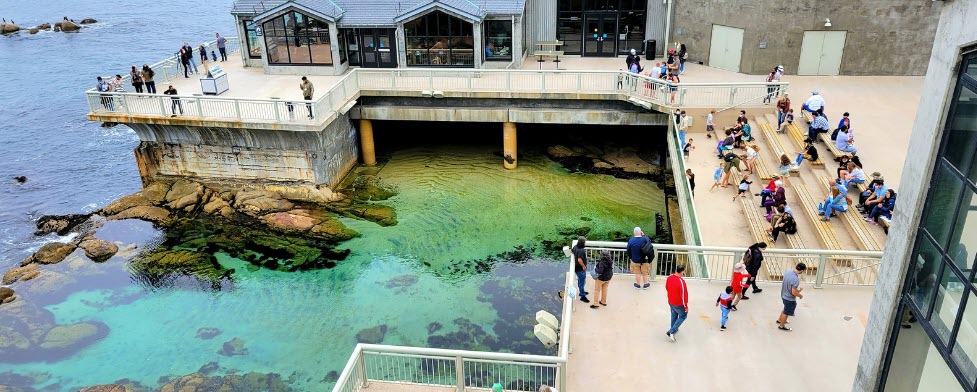 Best Vacations in California for Families - Monterey Aquarium