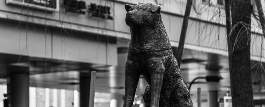 spend one day in Tokyo - Hachiko Memorial