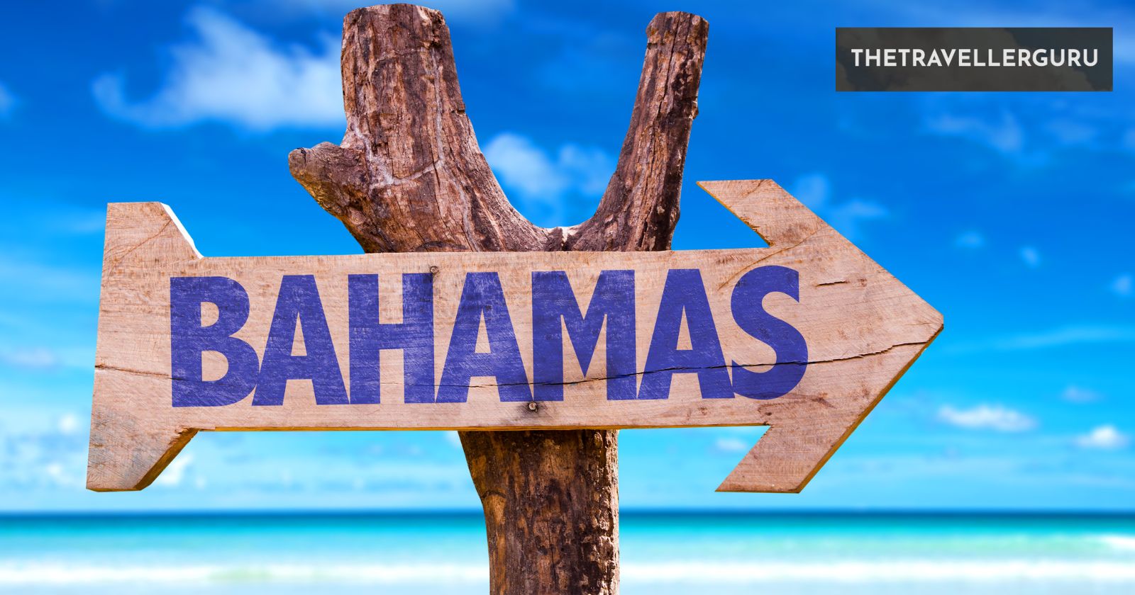 3 Best Bahamas Cruises from New York
