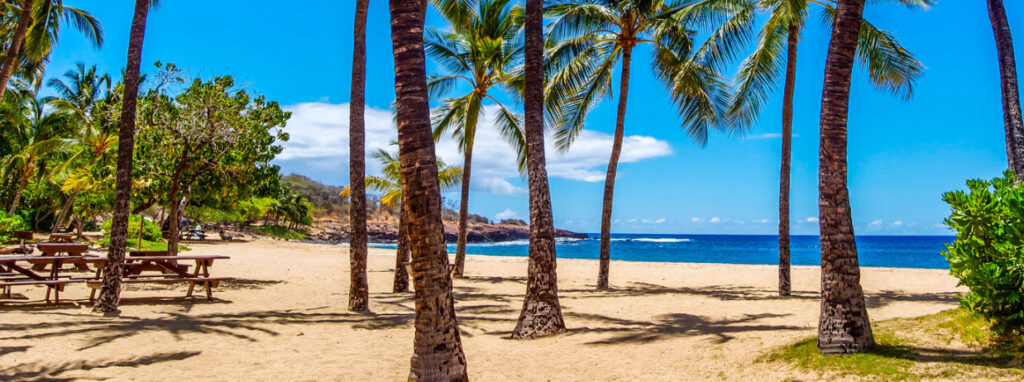 Best Beaches in Hawaii for Families - Hulopo’e Beach