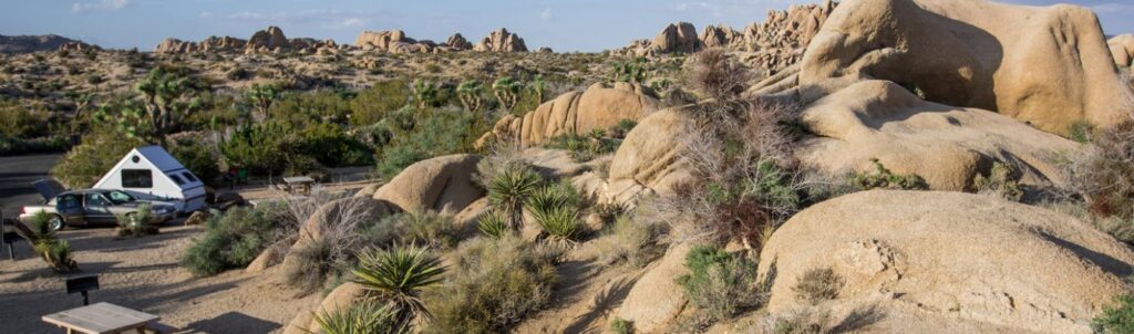 Best Campgrounds in California - Joshua Tree National Park