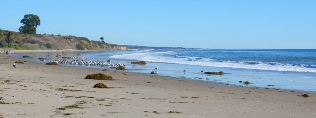 Best Campgrounds in California - Refugio State Beach