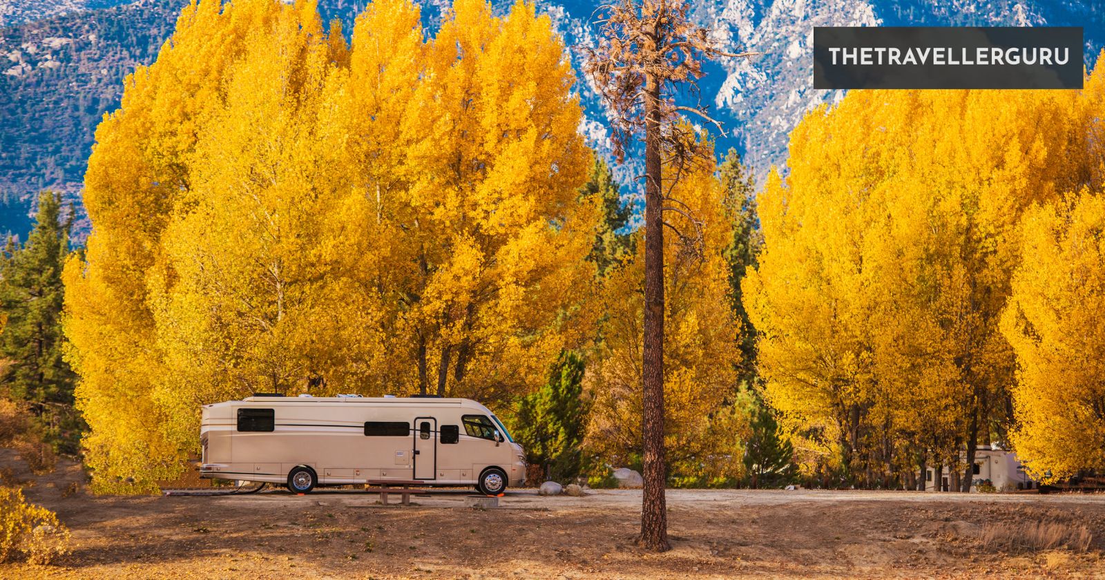 18 Best Campgrounds in California