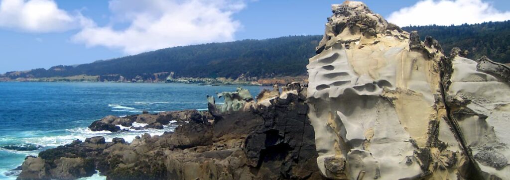 Best Camping Spots in Northern California - Salt Point State Park