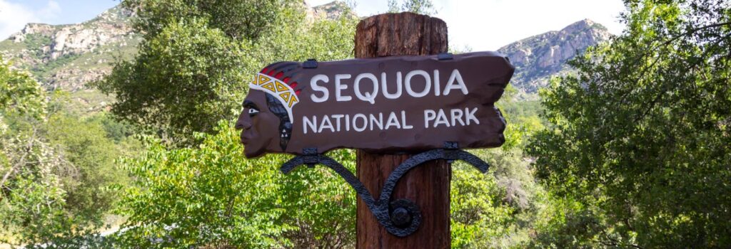 Best Camping Spots in Northern California - Sequoia National Park