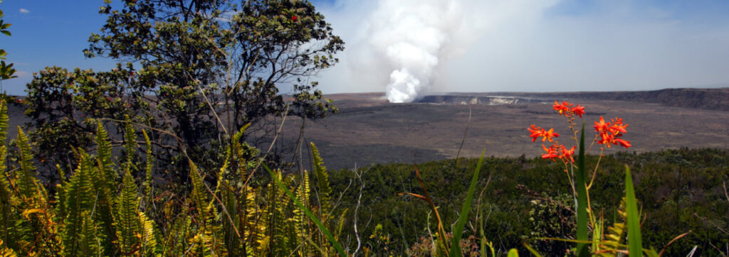 Best Cruises from Los Angeles to Hawaii - Volcanoes National Park