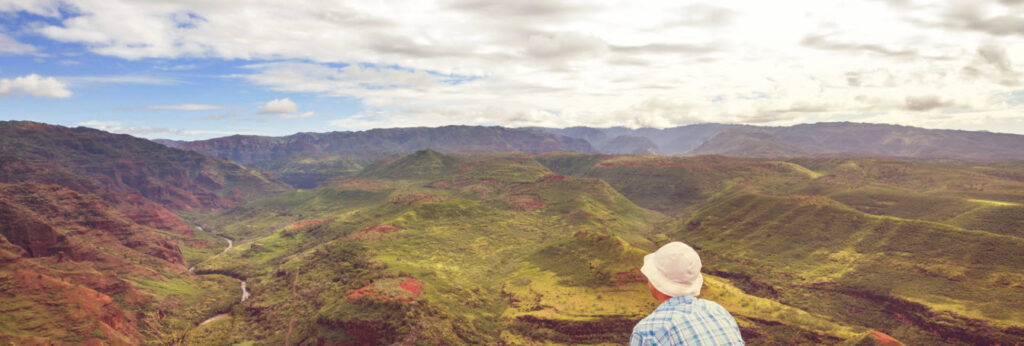 Best Cruises from Los Angeles to Hawaii - Waimea Canyon