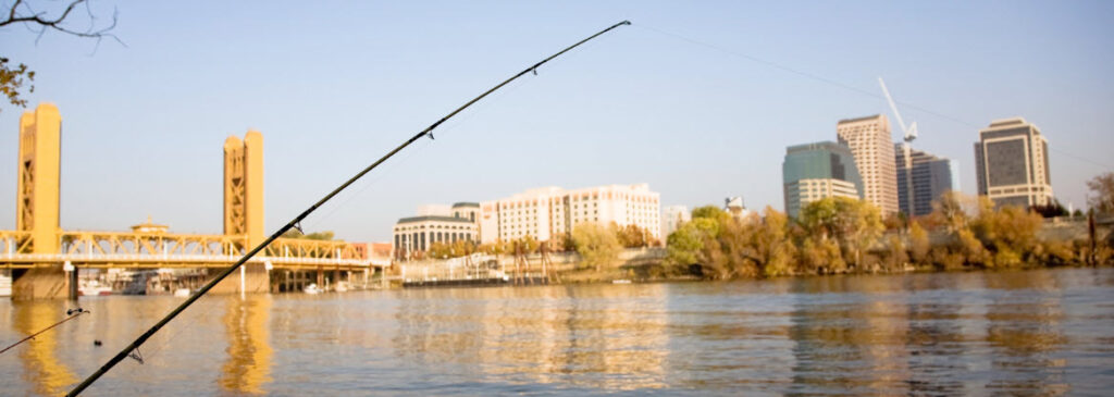 Best Fishing Spots in California - Lower Sacramento River