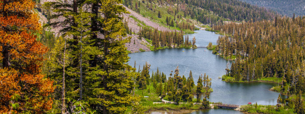 Best Fishing Spots in California - Mammoth Lakes