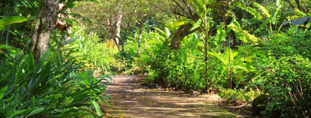 Best Hiking Trails on Oahu - Waimea Valley Trail