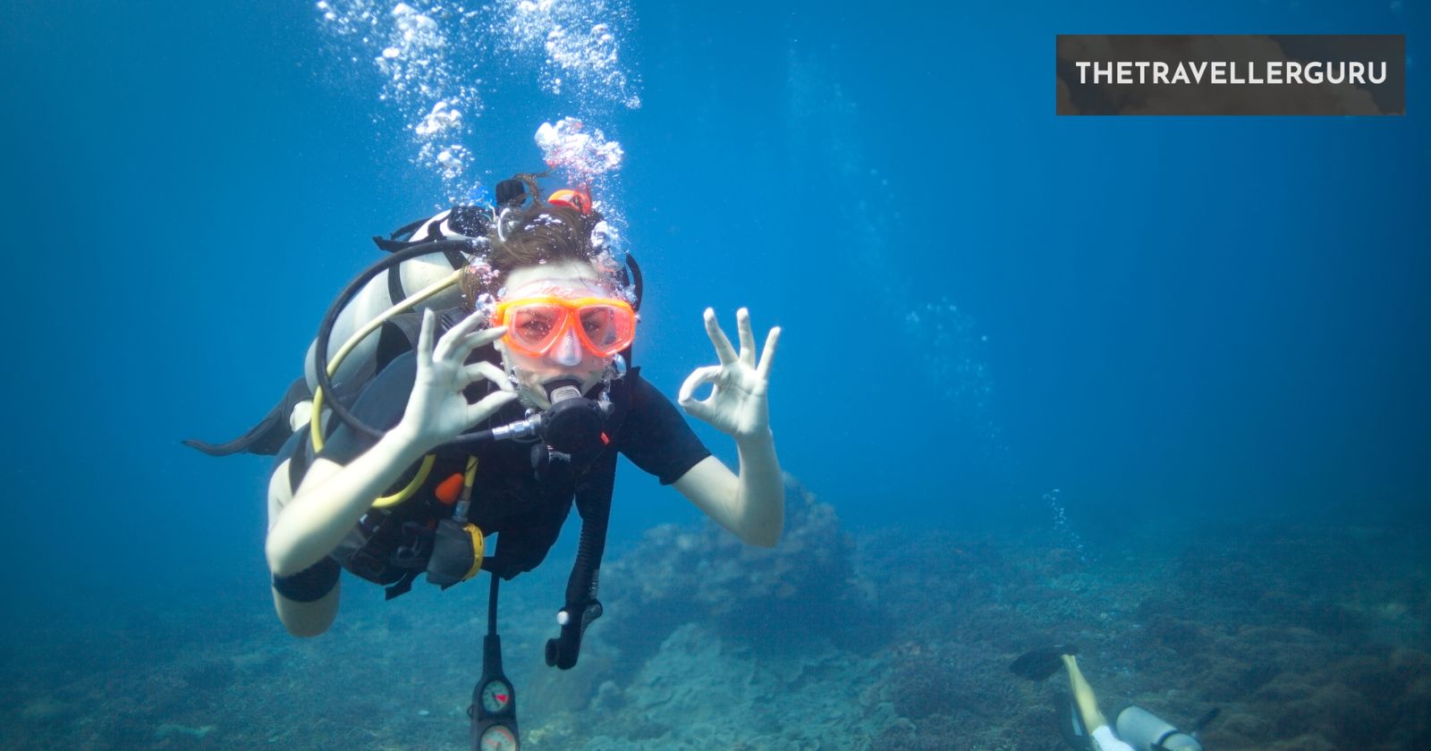 6 Best Scuba Diving Spots In Hawaii In 2024