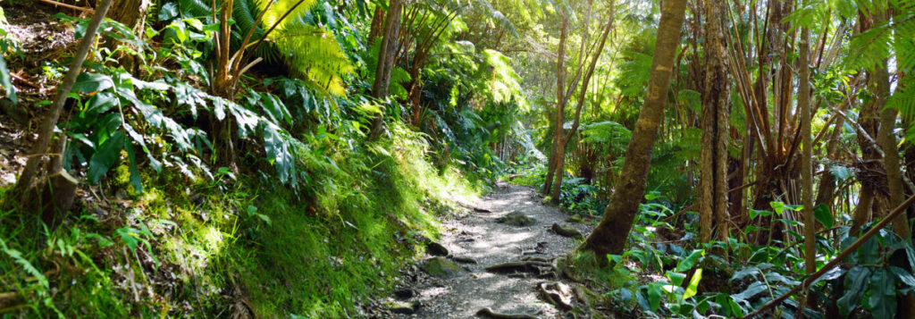 Best hiking trails in hawaii - Kīlauea Iki Trail Hawaii Island