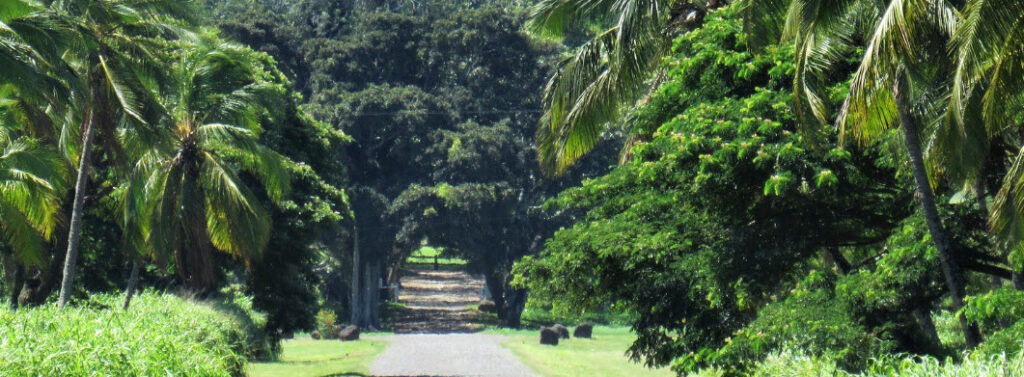 Where Did They Shoot 50 First Dates - Dillingham Ranch