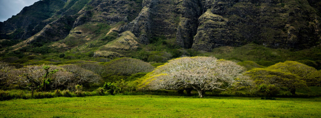 Where did they shoot jurassic park - Ka'a'awa Valley