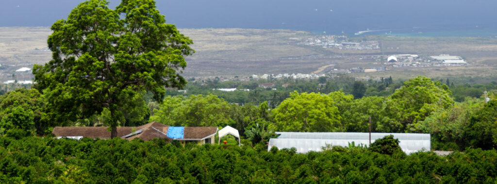 Best Restaurants on the Big Island - Kona Coffee plantation big island