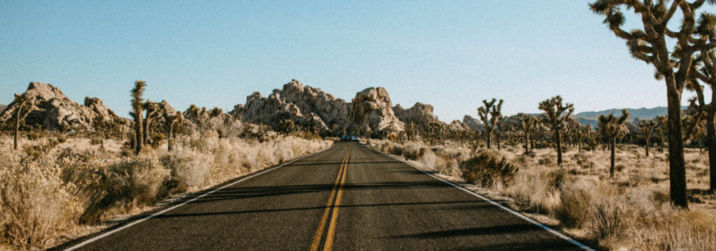 Best Road Trips in Southern California - Joshua Tree National Park