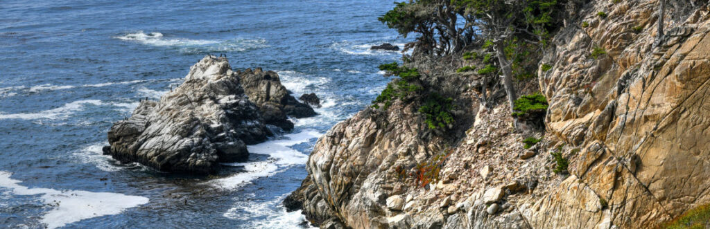 Best Spots in California for Scuba Diving - Point Lobos State Natural Reserve