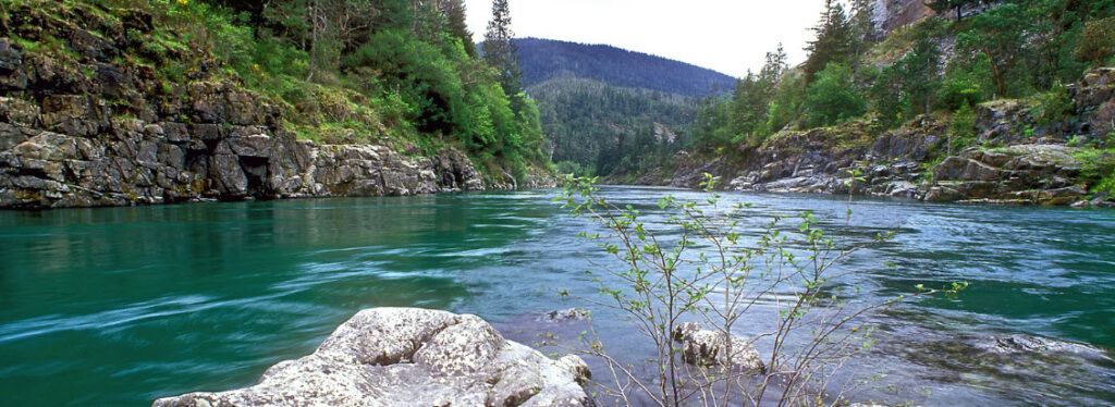 Best Spots in California for Scuba Diving - Smith River