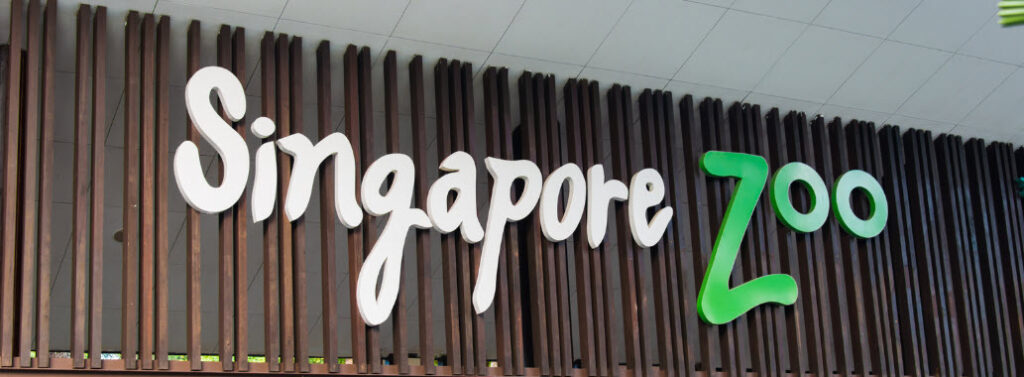 Ways to Spend One Day in Singapore - Singapore Zoo