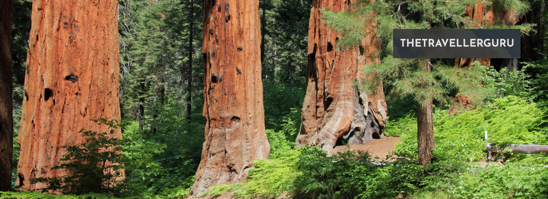 Best National Parks in California - Header