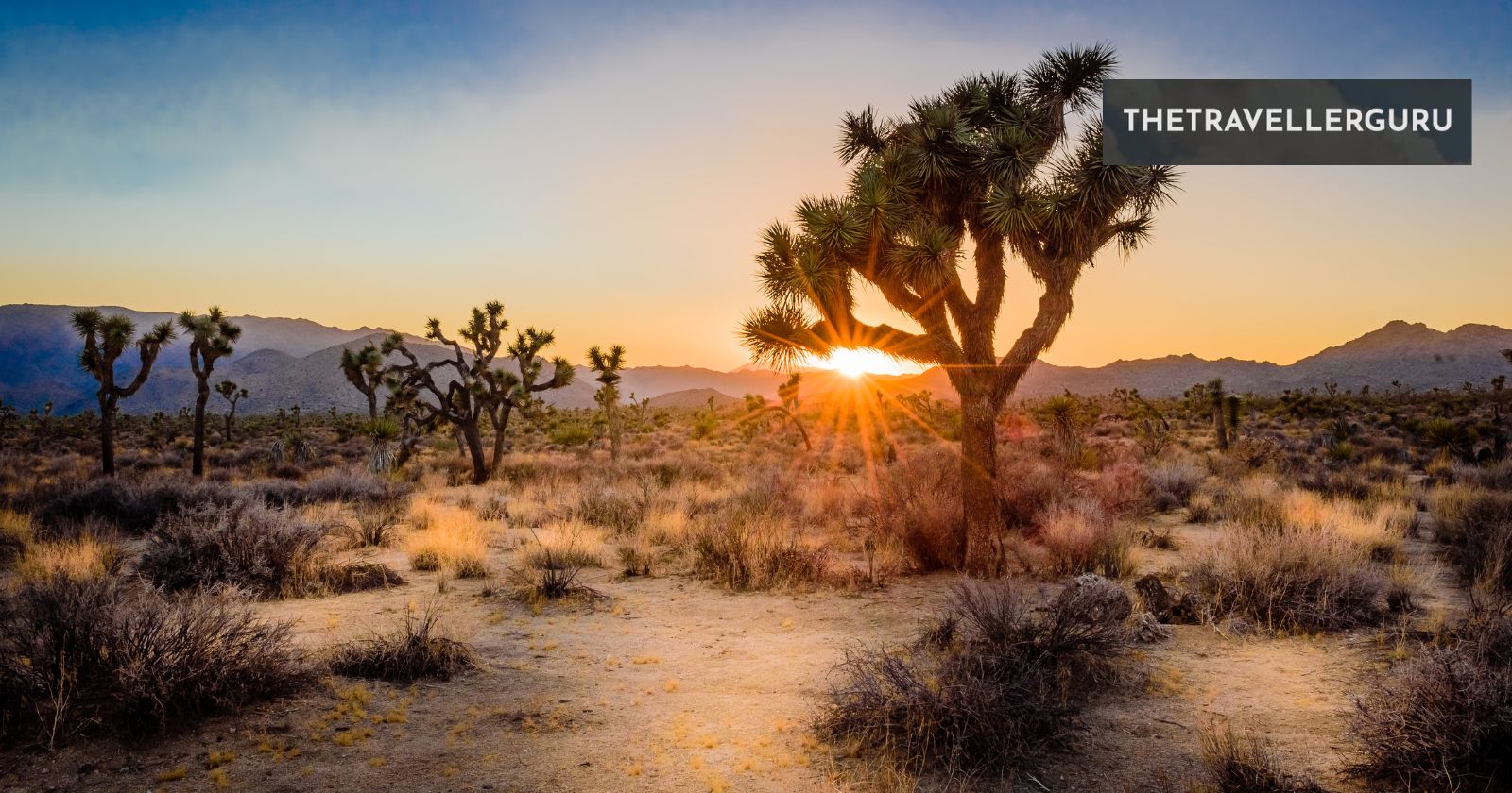 8 Best National Parks in California