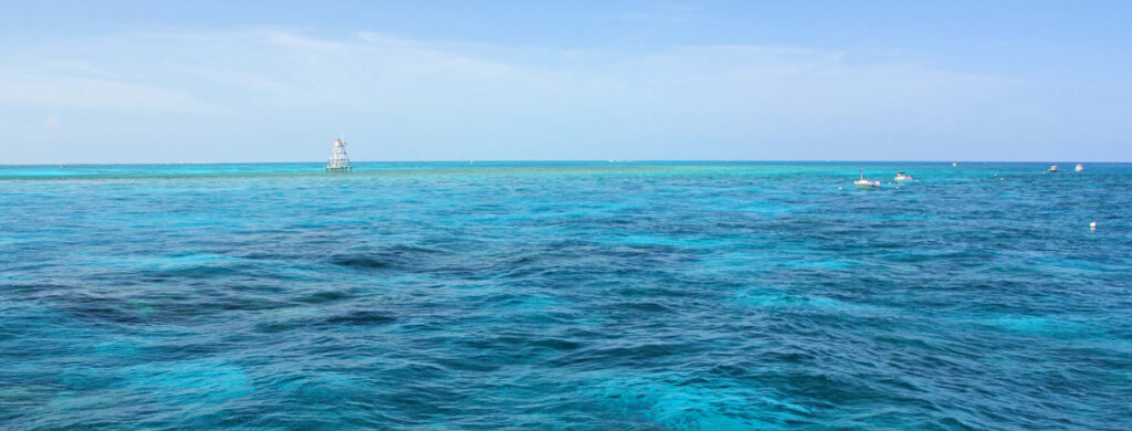 Best Places to Scuba Dive in Florida - Molasses Reef