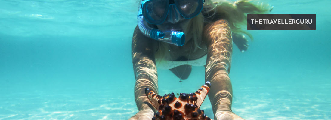 Best Places to Snorkel in Florida - Header