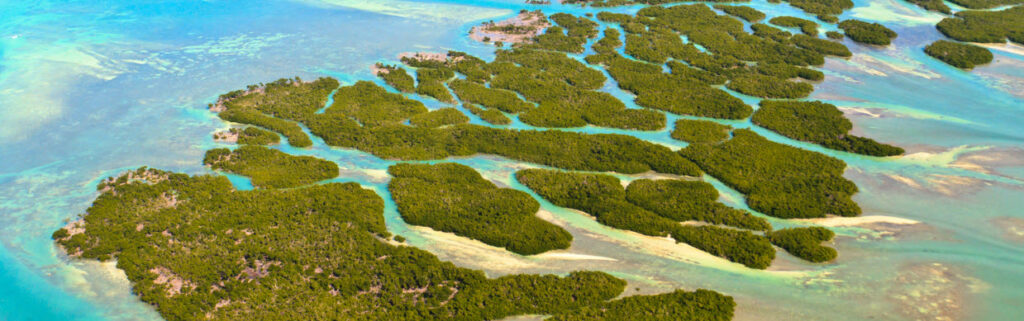 Best Places to Snorkel in Florida - Red Reef Park