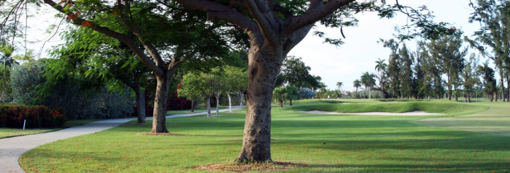 Best Public Golf Courses in Miami - Miami course 1