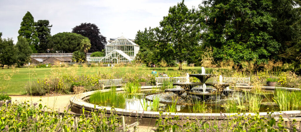 Things to Do in Cambridge UK - Cambridge University Botanic Garden