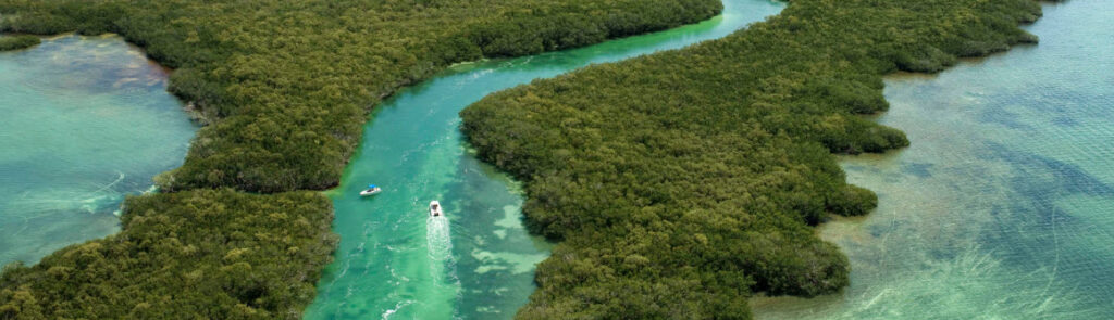 Things to Do in the Florida Keys - Florida Keys Eco-Discovery Center