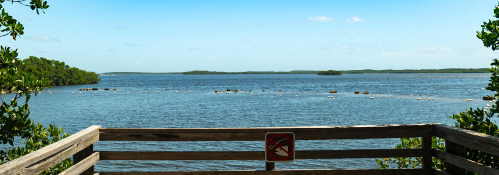 Things to Do in the Florida Keys - John Pennekamp Coral Reef State Park