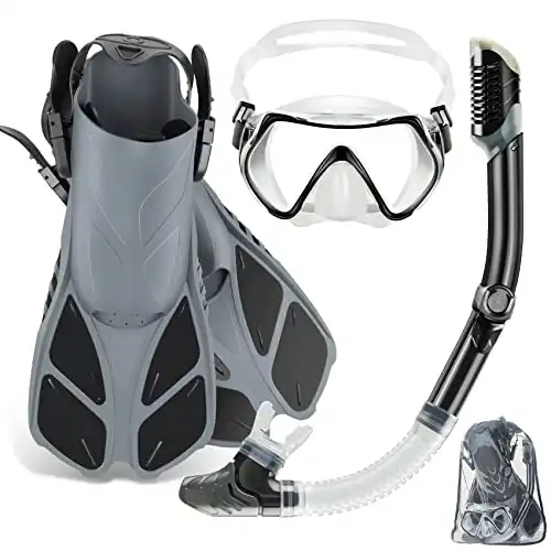 ZEEPORTE Travel Size Snorkeling Gear