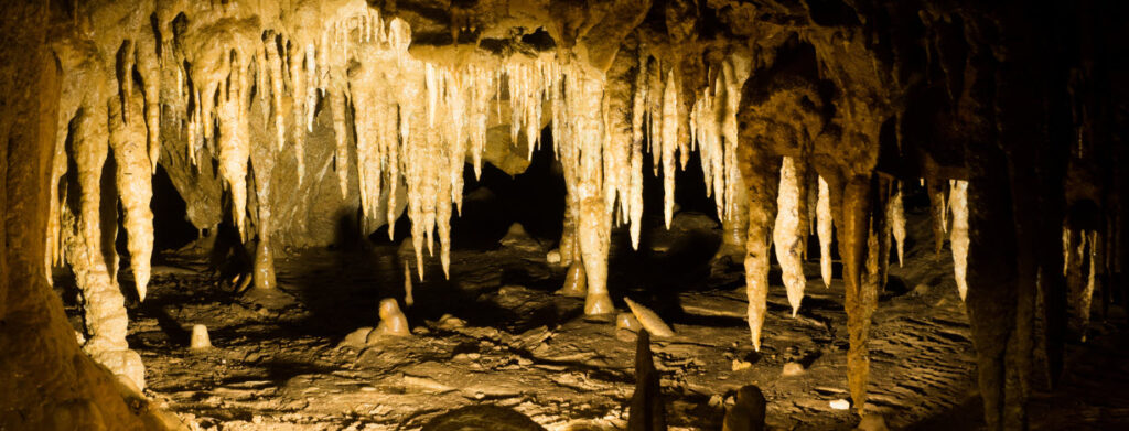 Best Campsites in Florida - Florida Caverns State Park